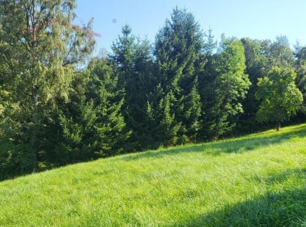 Prodej pozemku pro bydlení, 3 186 m²