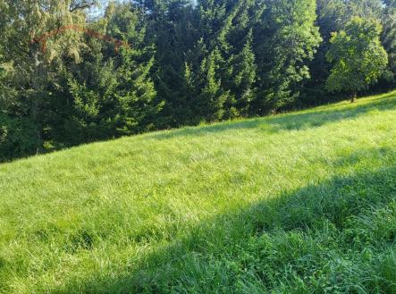 Prodej pozemku pro bydlení, 3 186 m²