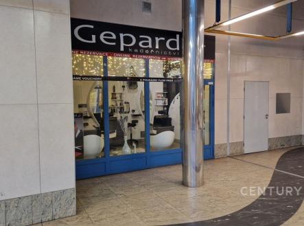 Pronájem jiné, 24 m²