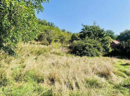 Prodej pozemku pro bydlení, 3 752 m²