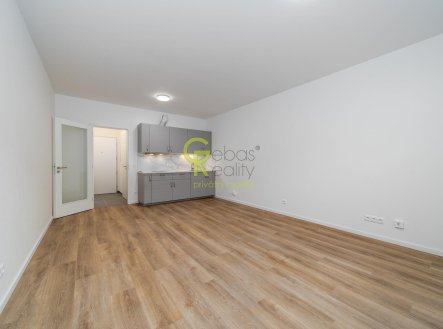 Pronájem bytu, 1+kk, 35 m²