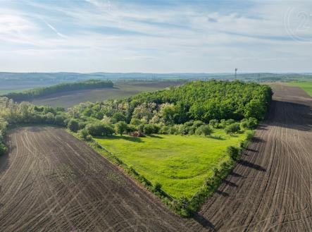 Prodej - zemědělský objekt, 29 241 m²