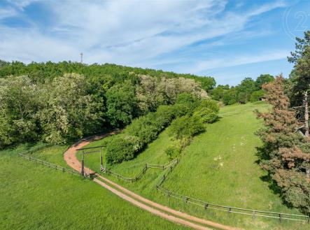 Prodej - zemědělský objekt, 29 241 m²