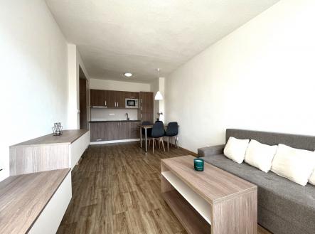 Prodej bytu, 2+kk, 42 m²