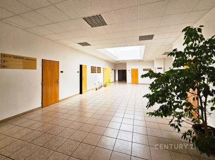 Pronájem kanceláře, 59 m²