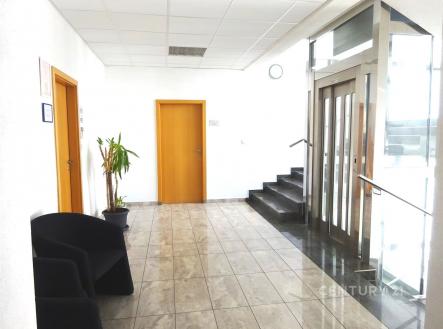 Pronájem kanceláře, 33 m²