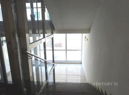 Pronájem kanceláře, 31 m²