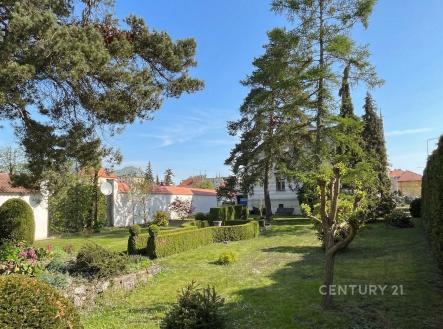 Prodej domu/vily, 297 m²