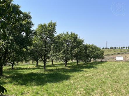 Prodej pozemku pro bydlení, 1 269 m²