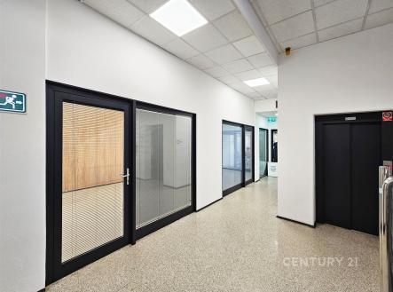 Pronájem obchodní prostor, 65 m²