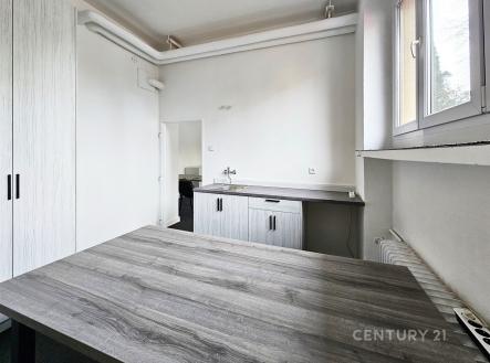 Pronájem obchodní prostor, 40 m²