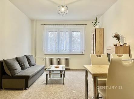 Pronájem bytu, 2+1, 55 m²