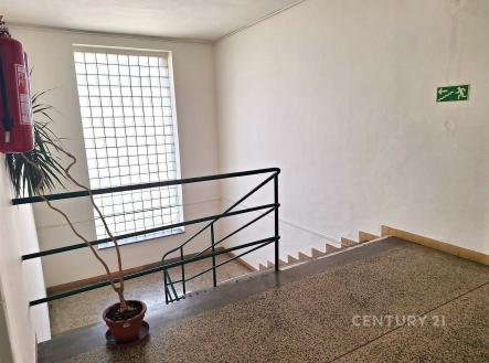 Pronájem kanceláře, 18 m²