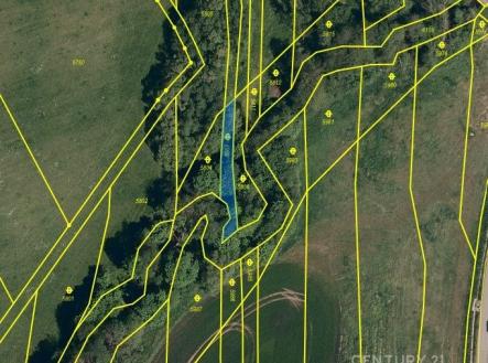Prodej pozemku, trvalý travní porost, 588 m²