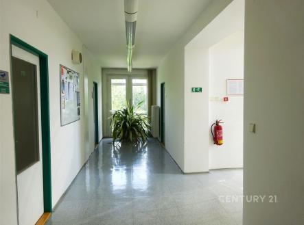 Pronájem kanceláře, 32 m²