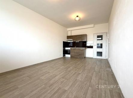 Pronájem bytu, 1+kk, 28 m²