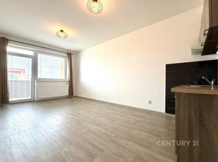 Pronájem bytu, 1+kk, 28 m²