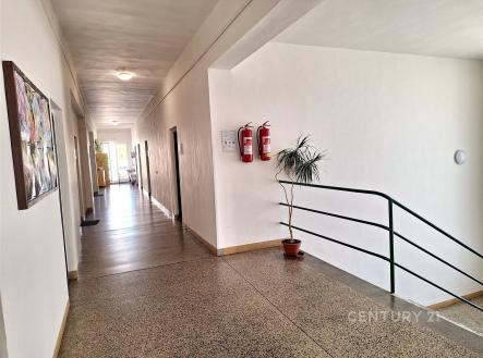 Pronájem kanceláře, 17 m²