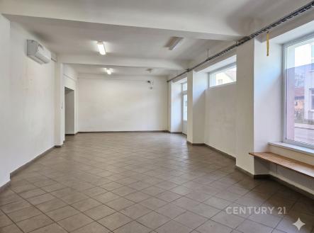 Prodej jiné komerční nemovitosti, 273 m²