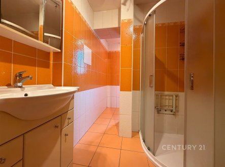 Pronájem bytu, 1+1, 45 m²