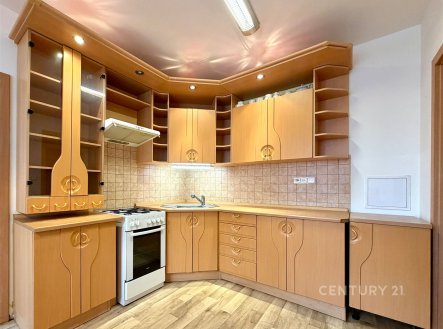 Pronájem bytu, 1+1, 45 m²