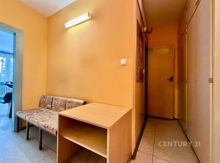 Prodej bytu, 1+kk, 28 m²