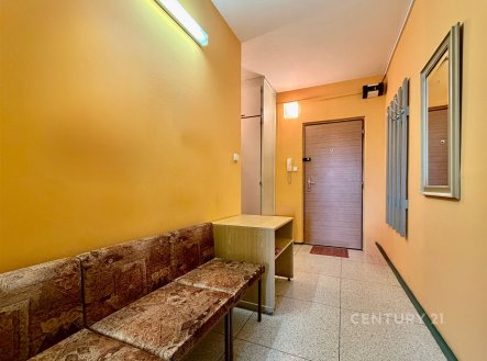 Prodej obchodní prostory, 28 m²