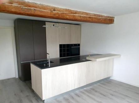 Pronájem - dům/vila, 295 m²