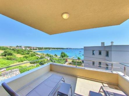 Orchid Casel de Paradise.