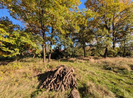 Prodej pozemku pro bydlení, 847 m²