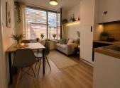 Pronájem bytu, 2+kk, 26 m²