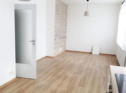 Pronájem bytu, 1+kk, 52 m²