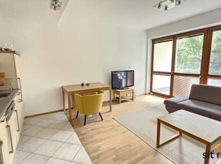 Pronájem bytu, 1+kk, 32 m²