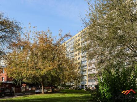 Prodej bytu, 3+1, 84 m²