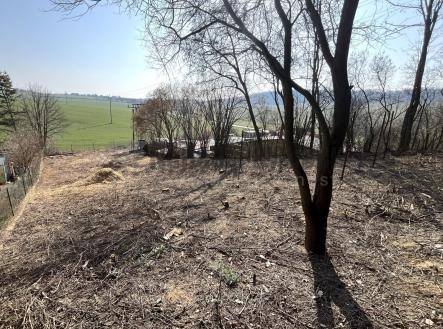 Prodej pozemku pro bydlení, 978 m²