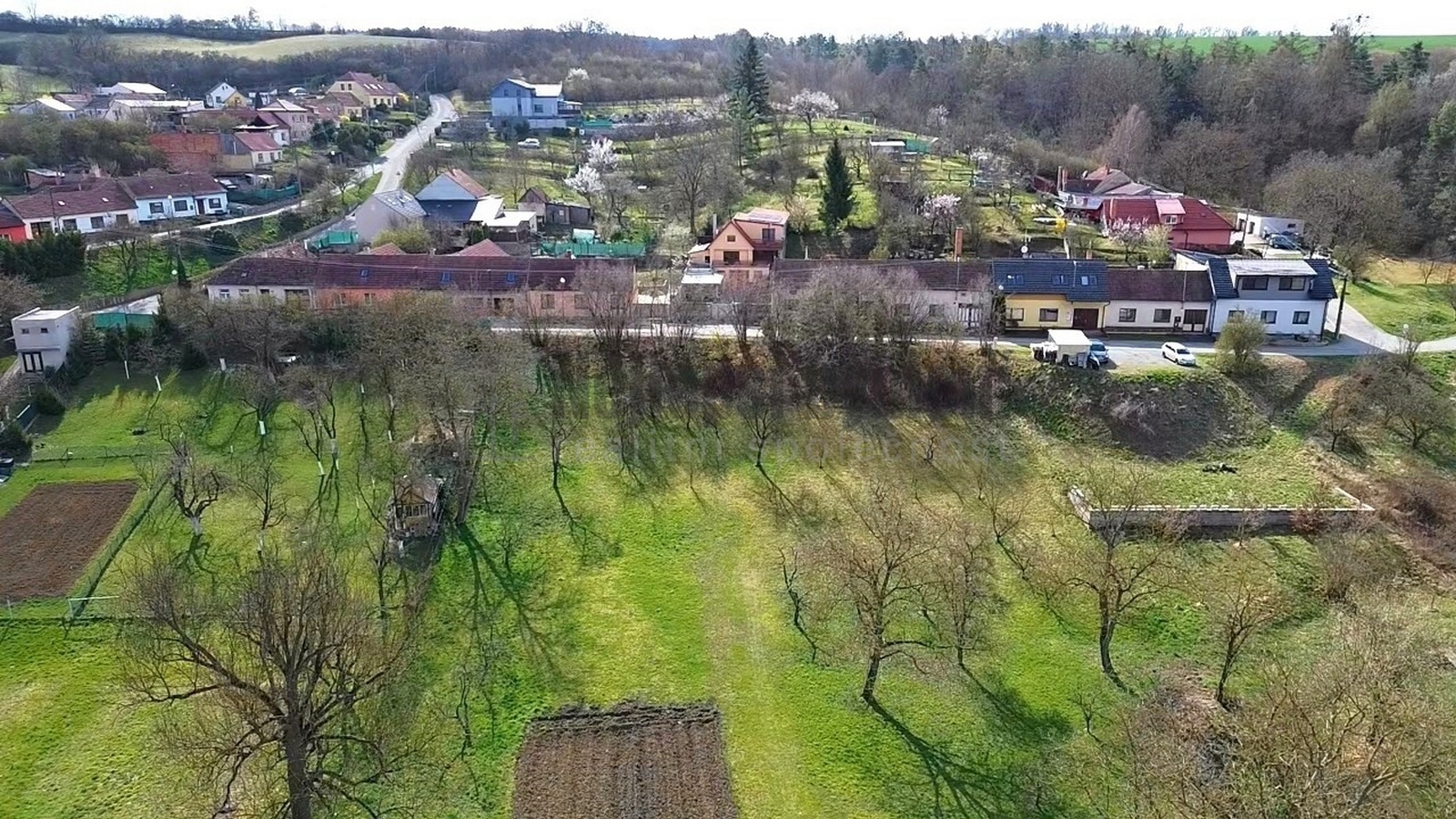 foto: 1
