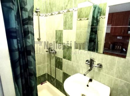 Pronájem bytu, 1+1, 46 m²