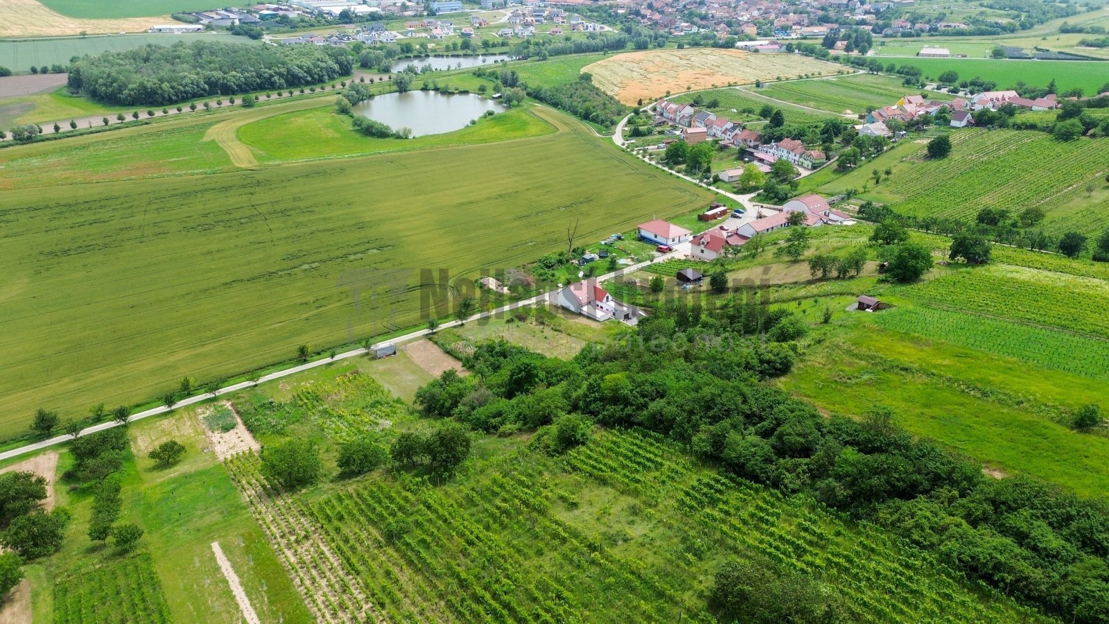 foto: 1