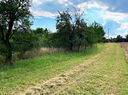 Prodej pozemku, zahrada, 914 m²