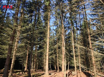 Prodej pozemku, les, 33 347 m²