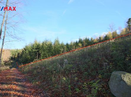 Prodej pozemku, les, 33 347 m²