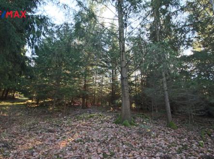 Prodej pozemku, les, 33 347 m²