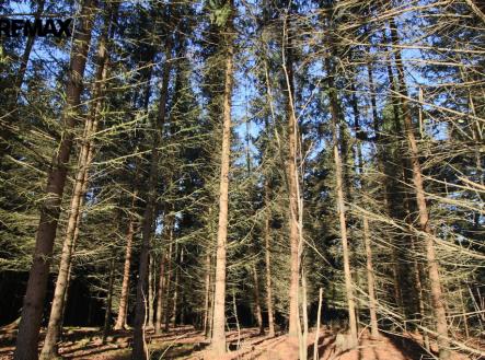 Prodej pozemku, les, 33 347 m²