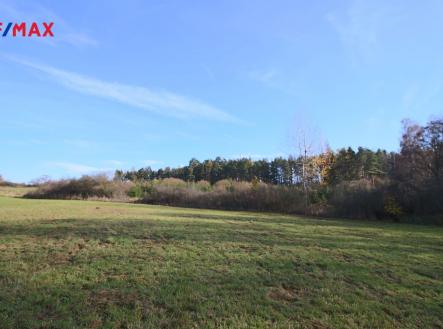 Prodej pozemku, les, 19 636 m²