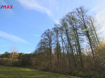 Prodej pozemku, les, 19 636 m²