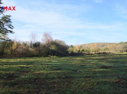 Prodej pozemku, les, 19 636 m²