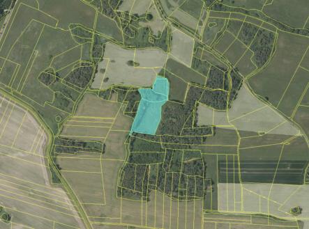 Prodej pozemku, les, 19 636 m²