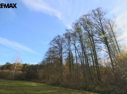 Prodej pozemku, les, 19 636 m²