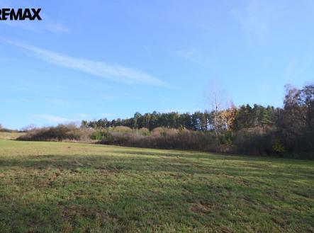 Prodej pozemku, les, 19 636 m²