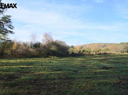 Prodej pozemku, les, 19 636 m²